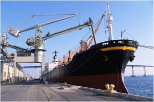 China Sea/Ocean Freight from Xiamen to Cotonou/Benin on sale 